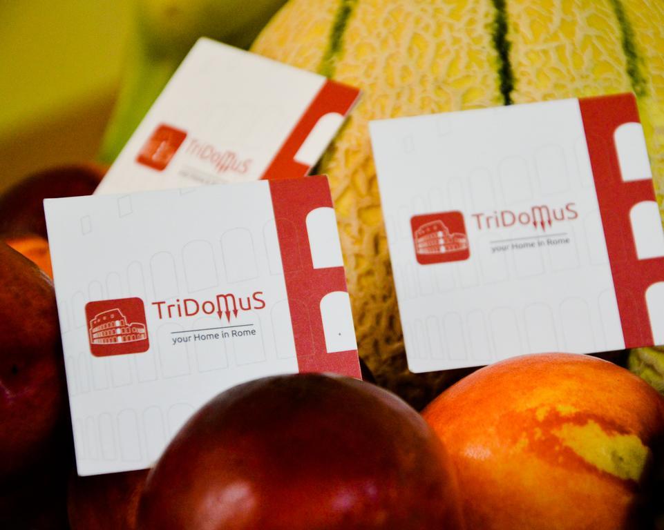 Tridomus Apartment - Mecenate 77 Rom Værelse billede
