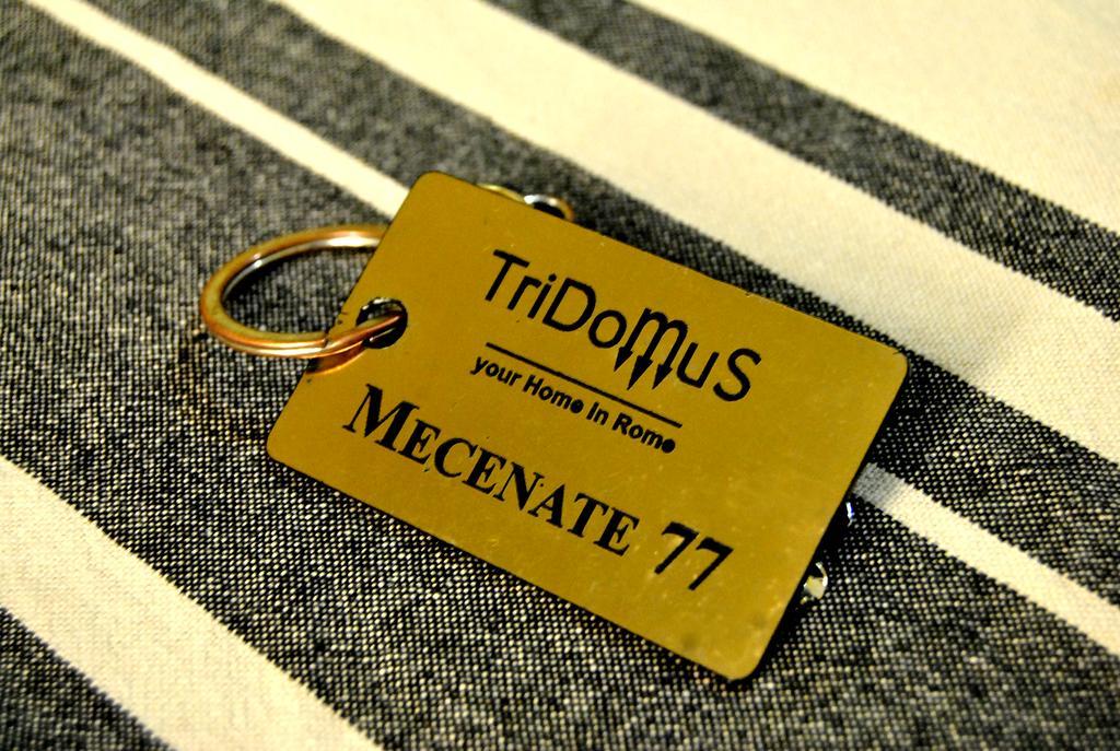 Tridomus Apartment - Mecenate 77 Rom Eksteriør billede